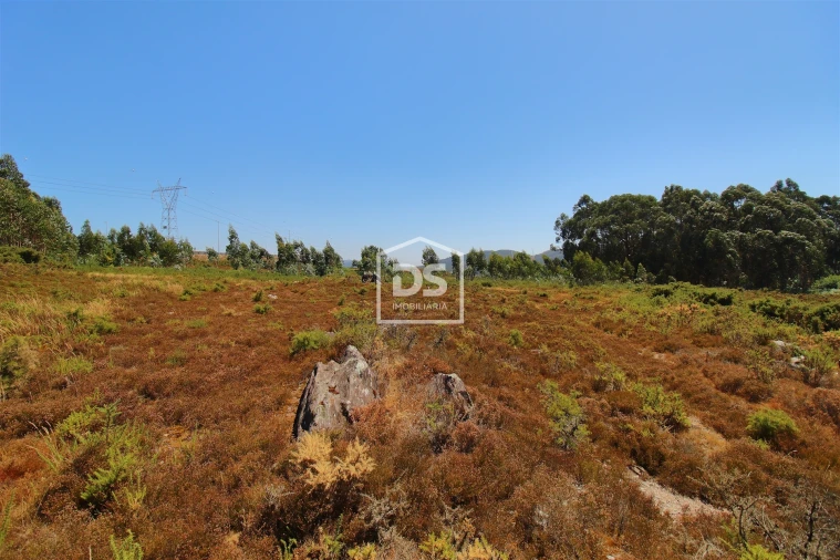 Terreno para Venda em Campo e Sobrado Foto 1