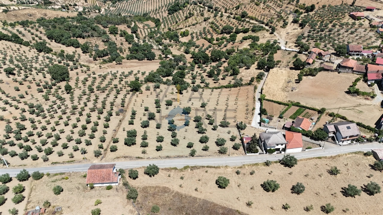 Terreno Agricola ou Rústico para Venda em Castro Vicente Foto 7