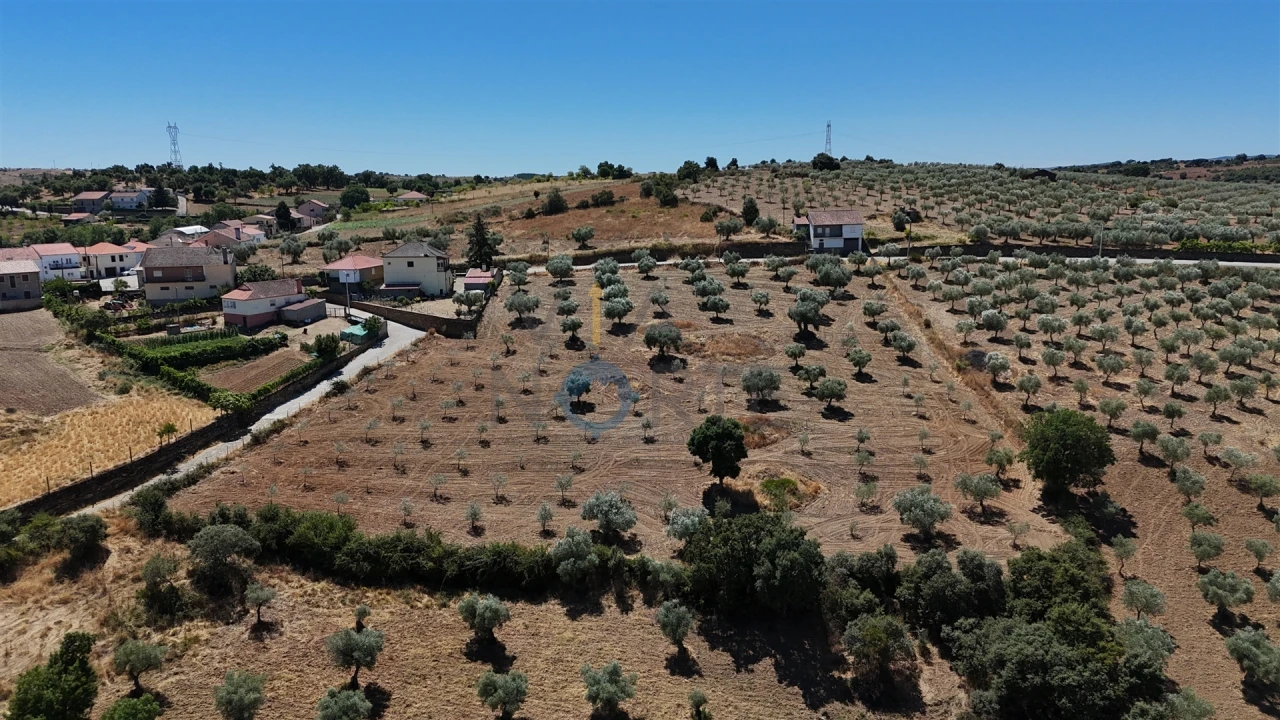 Terreno Agricola ou Rústico para Venda em Castro Vicente Foto 1