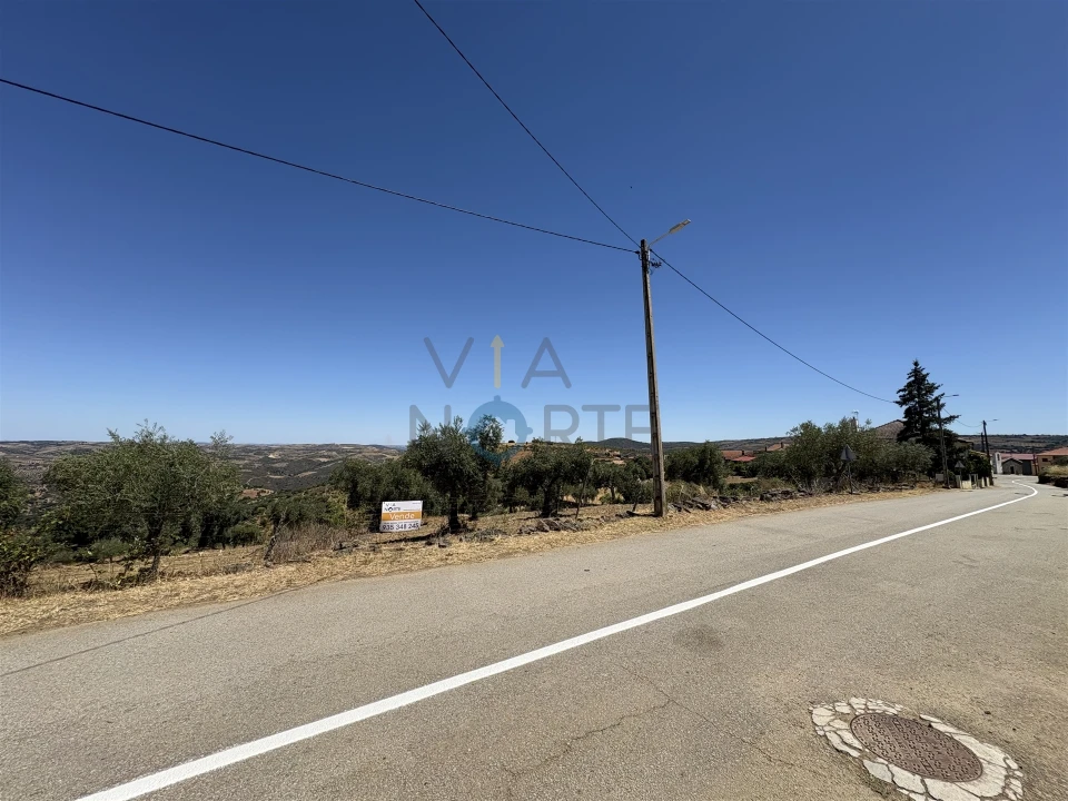 Terreno Agricola ou Rústico para Venda em Castro Vicente Foto 19