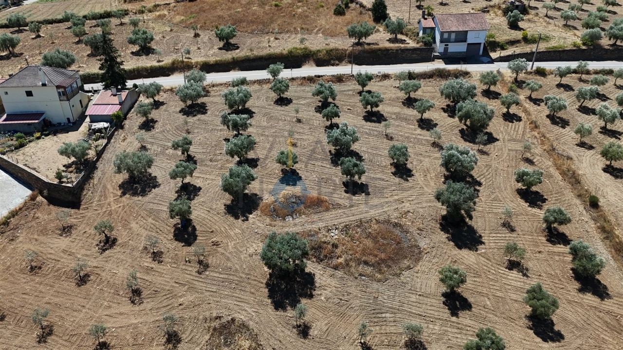 Terreno Agricola ou Rústico para Venda em Castro Vicente Foto 5
