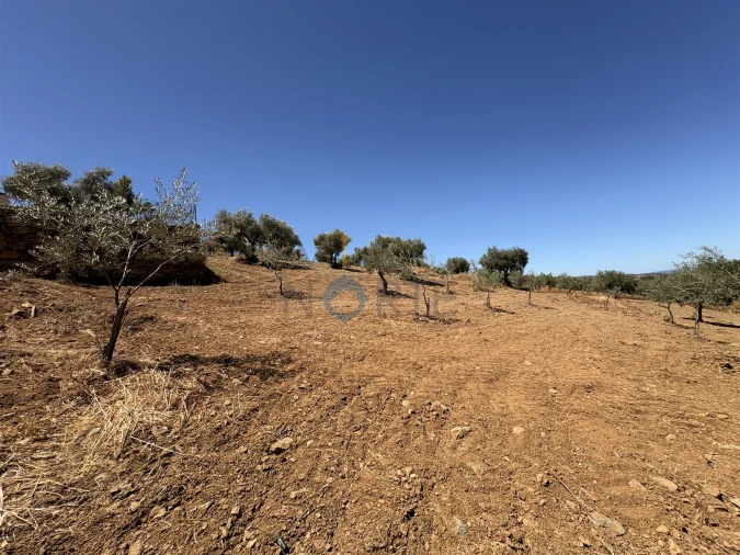 Terreno Agricola ou Rústico para Venda em Castro Vicente Foto 16