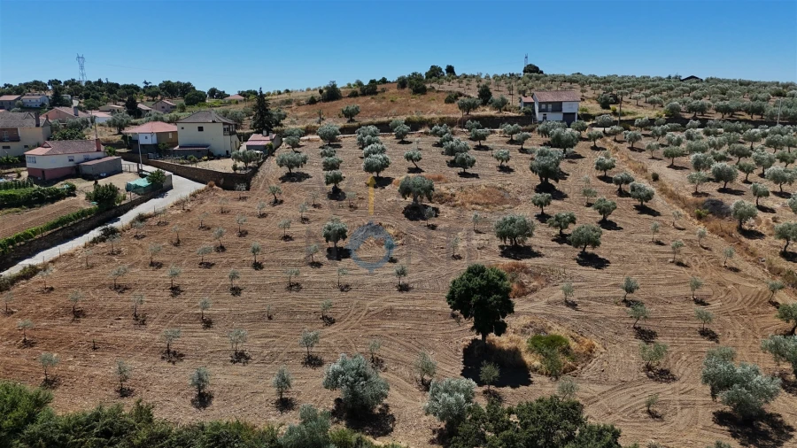 Terreno Agricola ou Rústico para Venda em Castro Vicente Foto 3