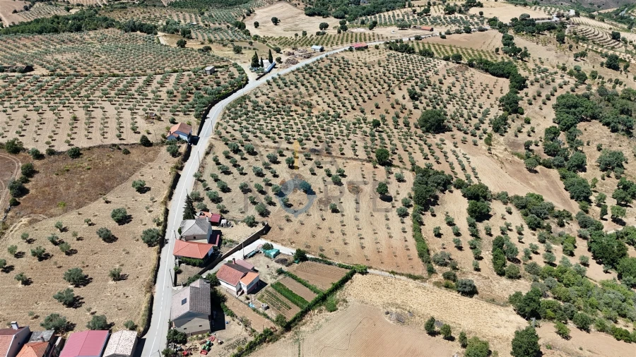 Terreno Agricola ou Rústico para Venda em Castro Vicente Foto 6