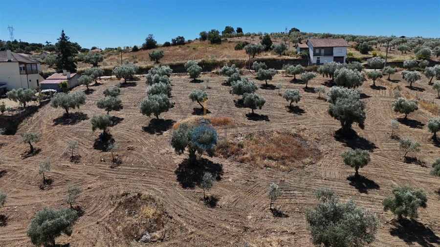 Terreno Agricola ou Rústico para Venda em Castro Vicente Foto 4