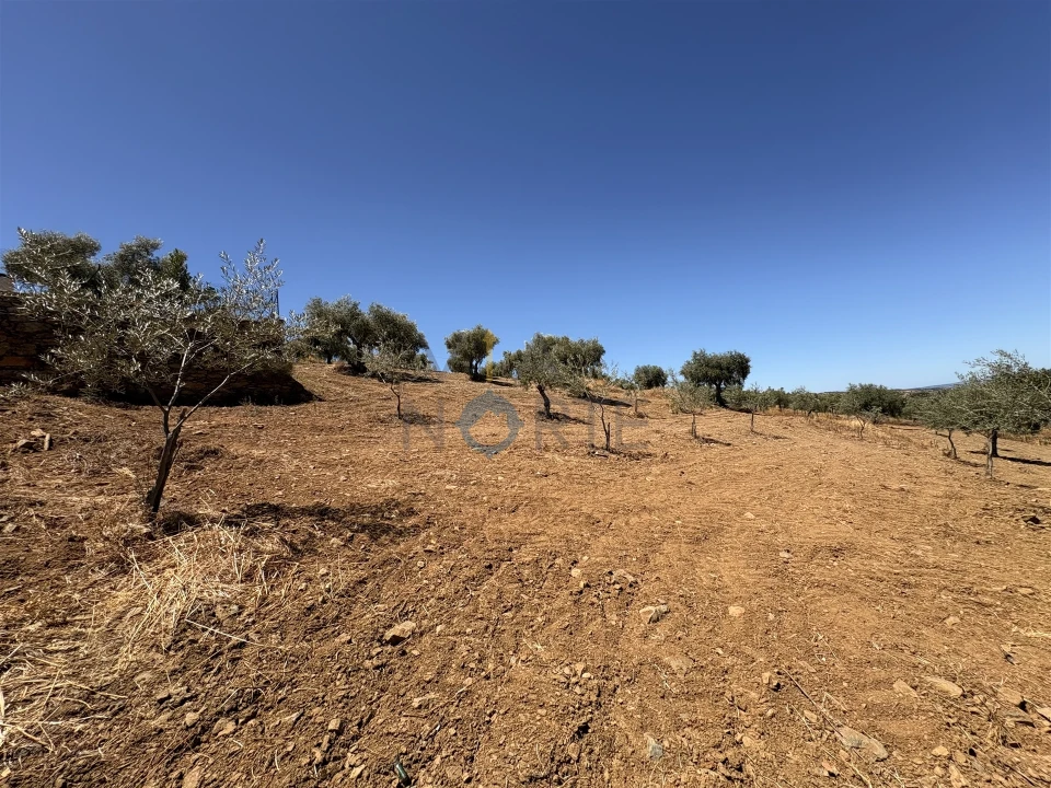 Terreno Agricola ou Rústico para Venda em Castro Vicente Foto 16