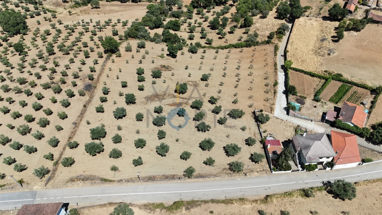 Terreno Agricola ou Rústico para Venda em Castro Vicente Foto 8