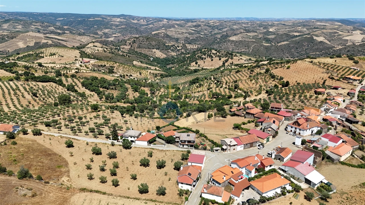 Terreno Agricola ou Rústico para Venda em Castro Vicente Foto 10