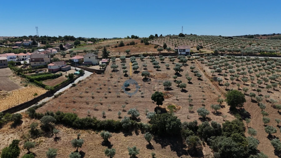 Terreno Agricola ou Rústico para Venda em Castro Vicente