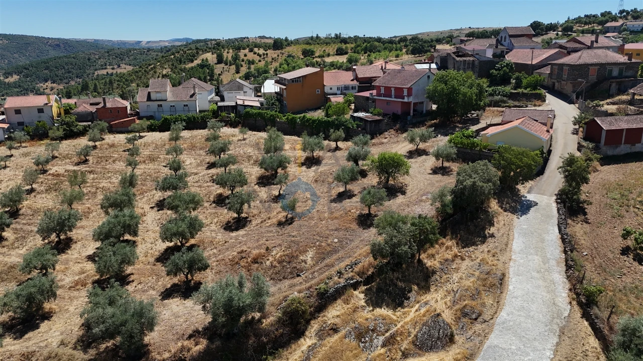 Terreno Agricola ou Rústico para Venda em Castro Vicente Foto 4