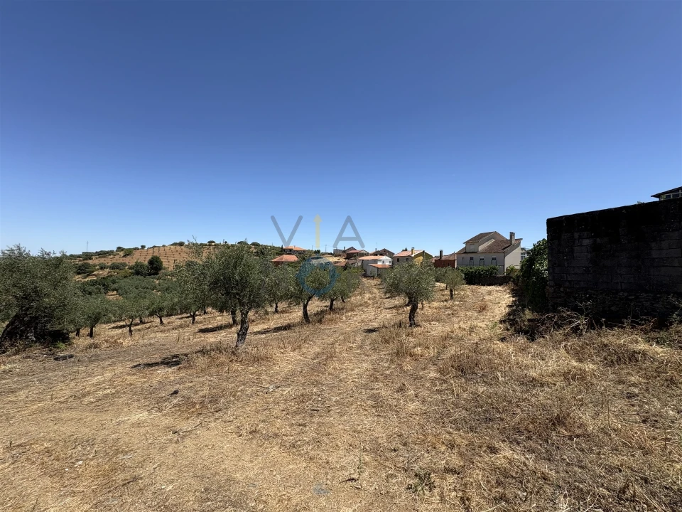 Terreno Agricola ou Rústico para Venda em Castro Vicente Foto 16