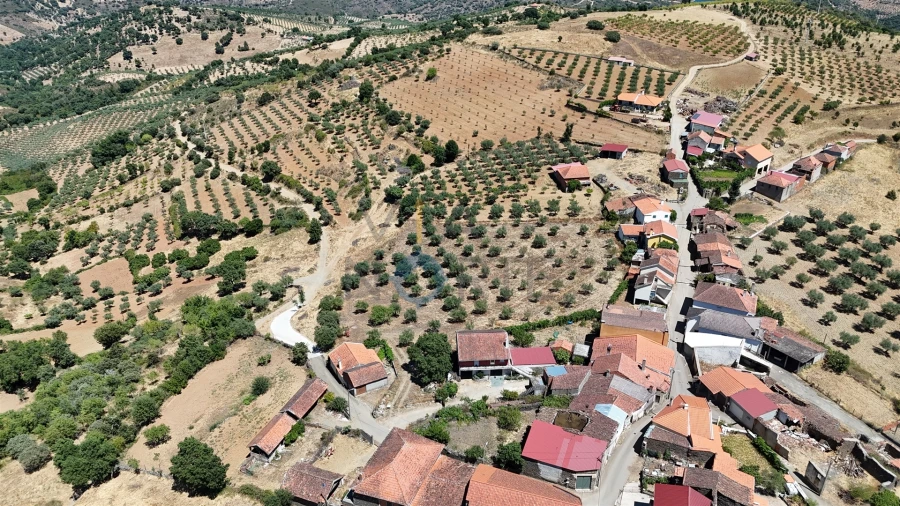 Terreno Agricola ou Rústico para Venda em Castro Vicente Foto 5
