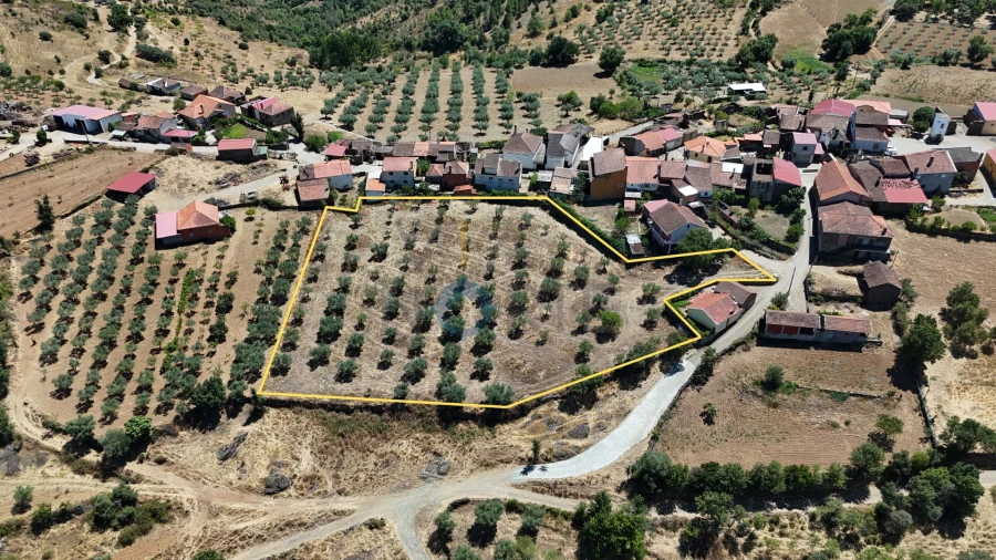 Terreno Agricola ou Rústico para Venda em Castro Vicente Foto 2