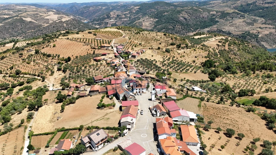 Terreno Agricola ou Rústico para Venda em Castro Vicente Foto 6