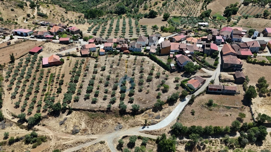Terreno Agricola ou Rústico para Venda em Castro Vicente Foto 3