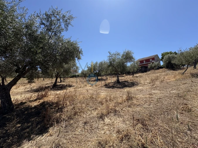 Terreno Agricola ou Rústico para Venda em Castro Vicente Foto 15