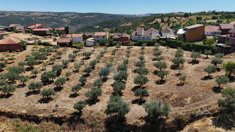 Terreno Agricola ou Rústico para Venda em Castro Vicente