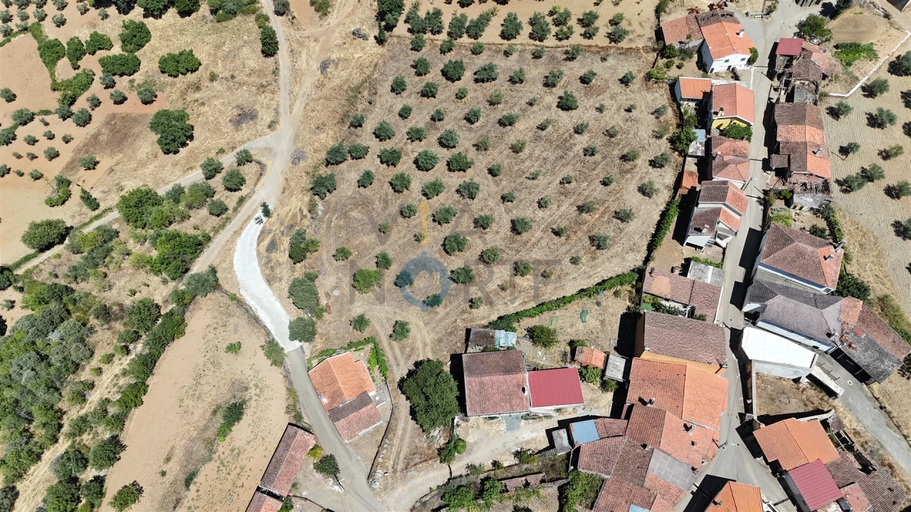 Terreno Agricola ou Rústico para Venda em Castro Vicente Foto 7