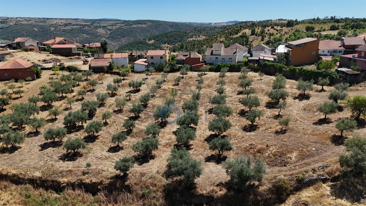 Terreno Agricola ou Rústico para Venda em Castro Vicente Foto 1