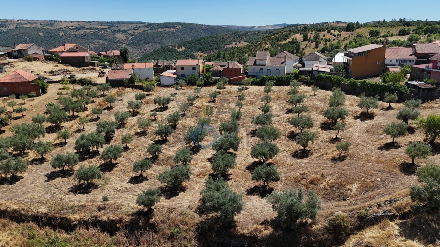 Terreno Agricola ou Rústico para Venda em Castro Vicente