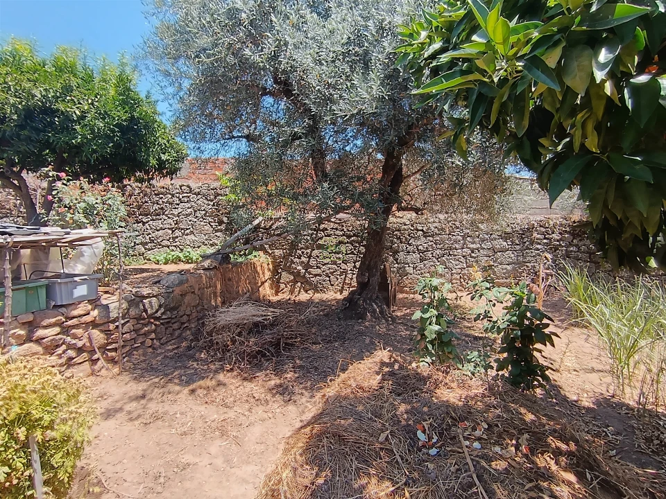 Moradia T2 para Venda em Pedrógão de São Pedro e Bemposta Foto 26