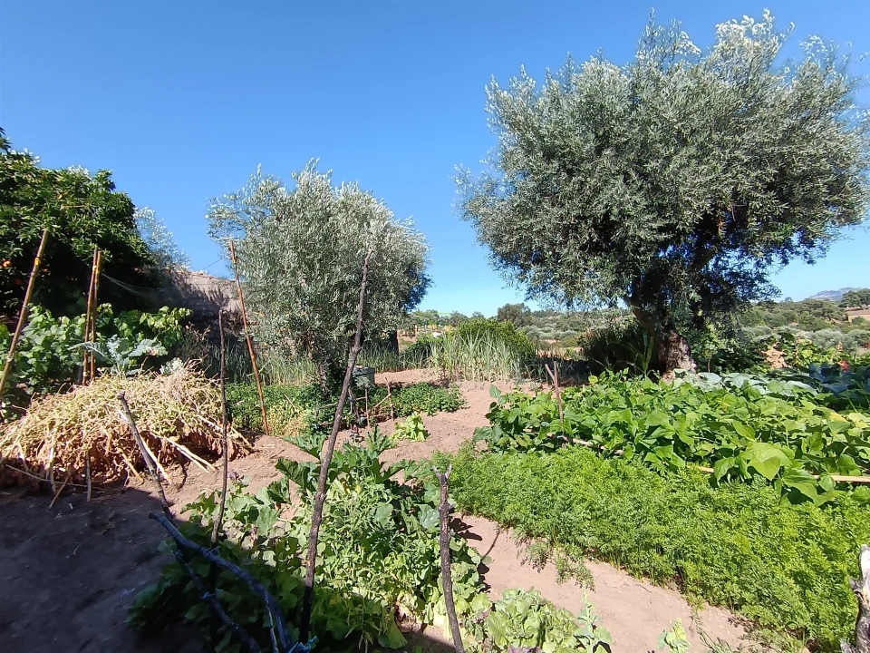 Moradia T2 para Venda em Pedrógão de São Pedro e Bemposta Foto 56