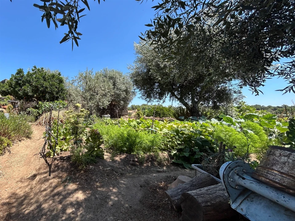 Moradia T2 para Venda em Pedrógão de São Pedro e Bemposta Foto 41