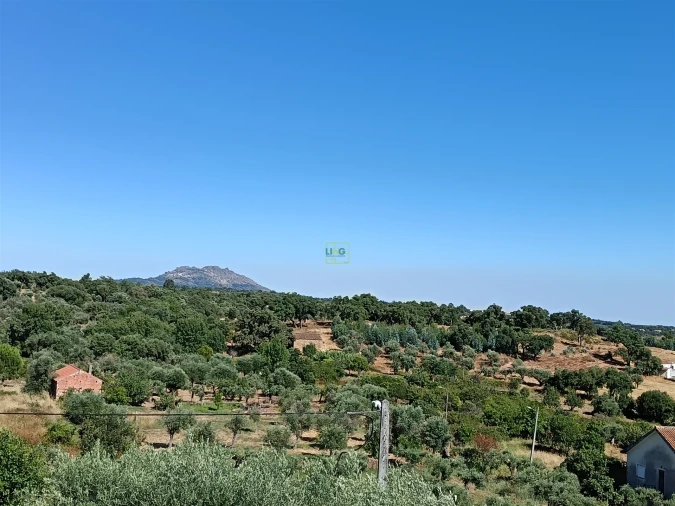 Moradia T2 para Venda em Pedrógão de São Pedro e Bemposta Foto 8