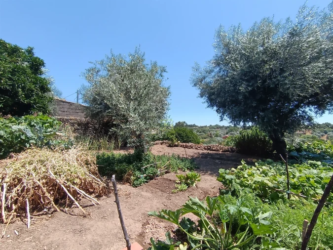 Moradia T2 para Venda em Pedrógão de São Pedro e Bemposta Foto 14