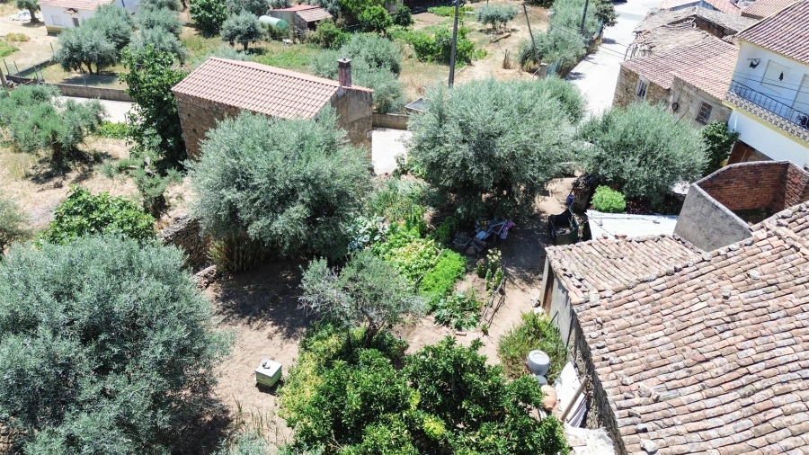 Moradia T2 para Venda em Pedrógão de São Pedro e Bemposta Foto 36