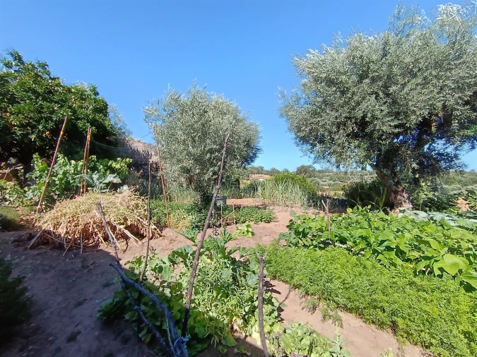 Moradia T2 para Venda em Pedrógão de São Pedro e Bemposta Foto 18