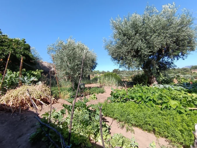 Moradia T2 para Venda em Pedrógão de São Pedro e Bemposta Foto 56