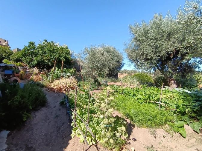 Moradia T2 para Venda em Pedrógão de São Pedro e Bemposta Foto 17