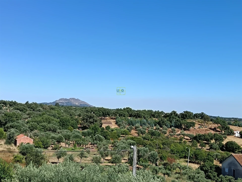 Moradia T2 para Venda em Pedrógão de São Pedro e Bemposta Foto 57