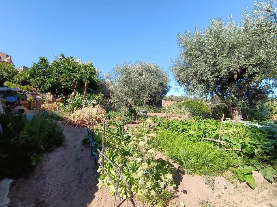 Moradia T2 para Venda em Pedrógão de São Pedro e Bemposta Foto 7