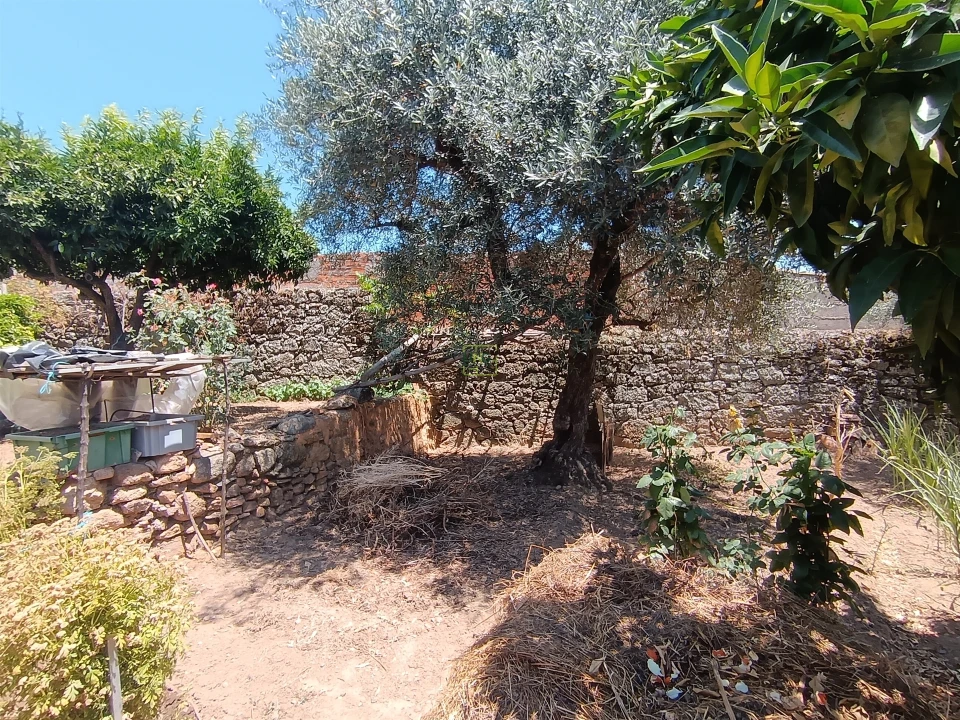 Moradia T2 para Venda em Pedrógão de São Pedro e Bemposta Foto 25