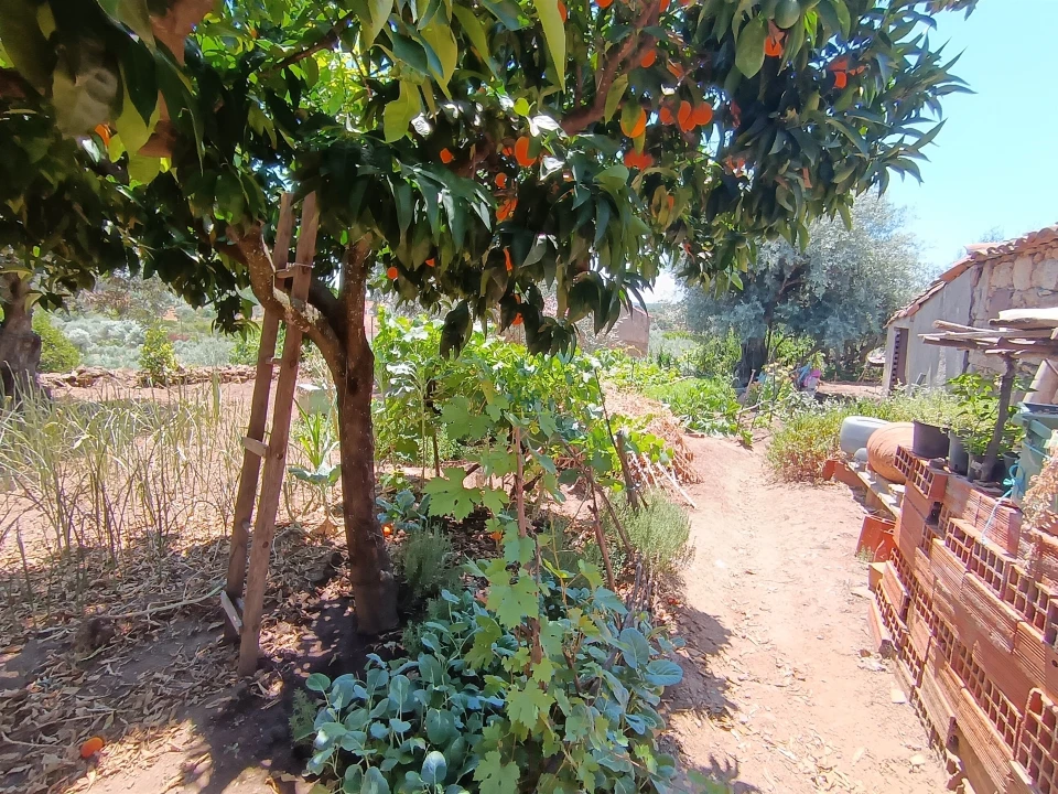 Moradia T2 para Venda em Pedrógão de São Pedro e Bemposta Foto 27