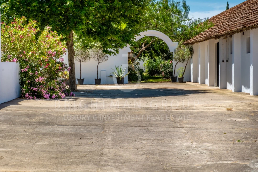 Quinta T12 para Venda em Canha Foto 6