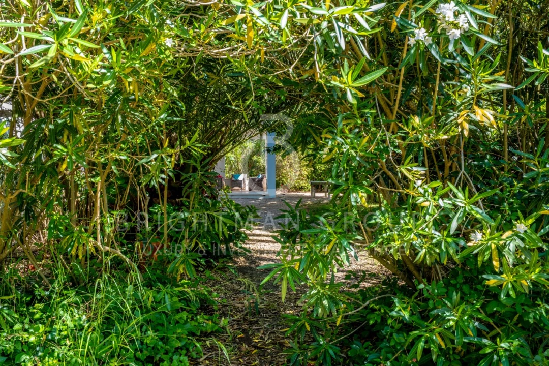 Quinta T12 para Venda em Canha Foto 21