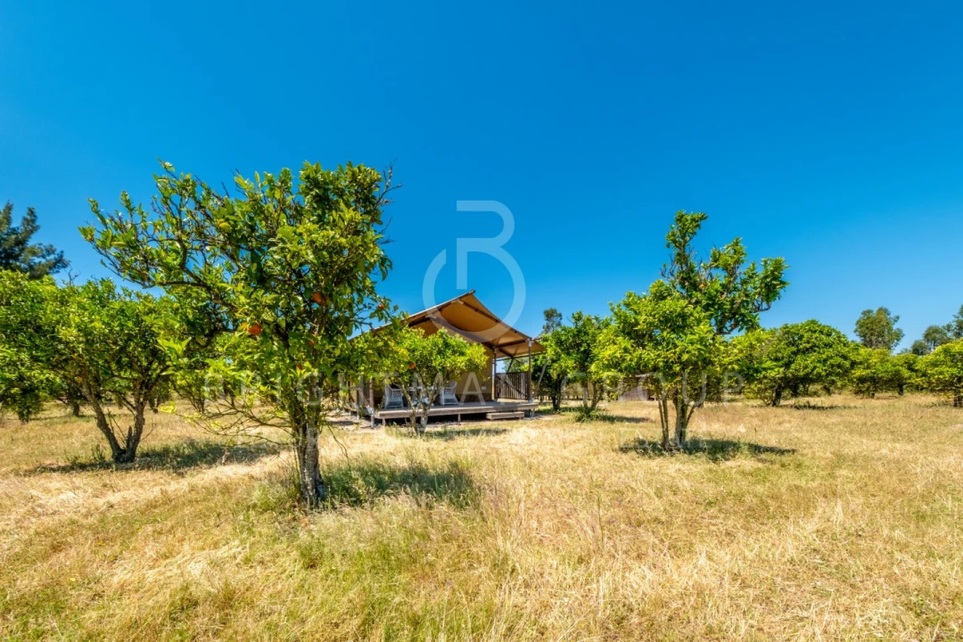 Quinta T12 para Venda em Canha Foto 24