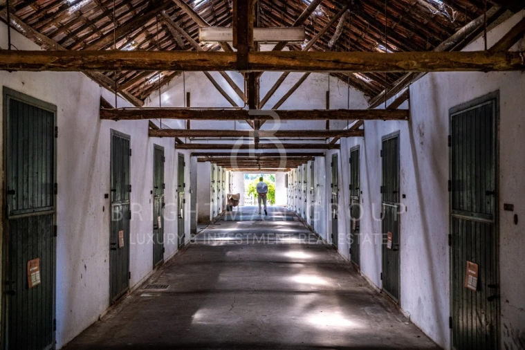 Quinta T12 para Venda em Canha Foto 5