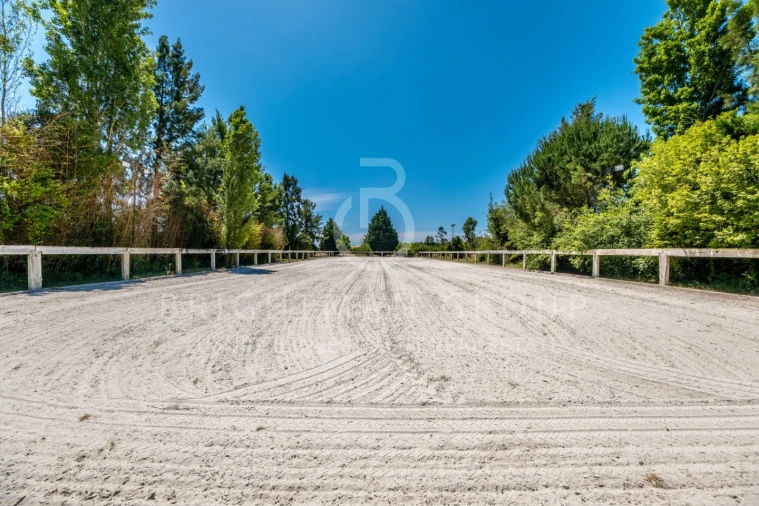 Quinta T12 para Venda em Canha Foto 23