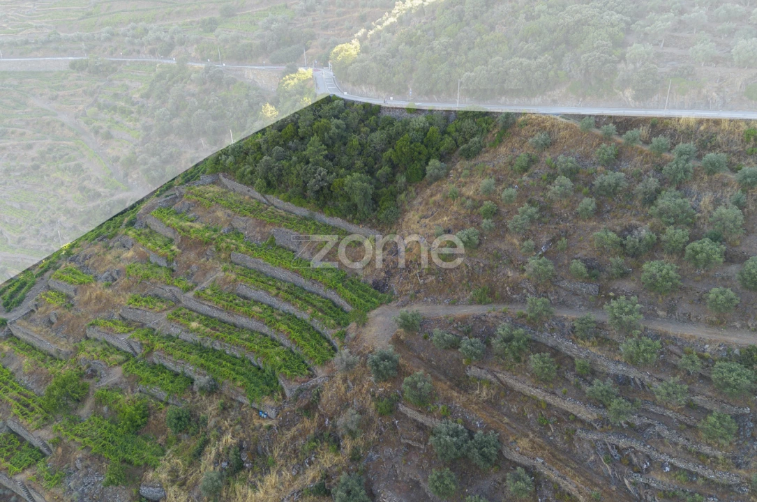 Terreno para Venda em Provesende, Gouvães Douro, São Cristóvão Douro Foto 7