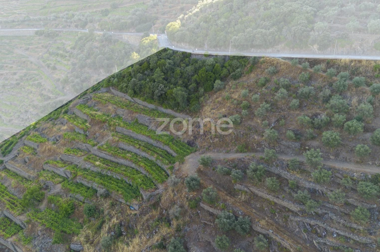 Terreno para Venda em Provesende, Gouvães Douro, São Cristóvão Douro Foto 7