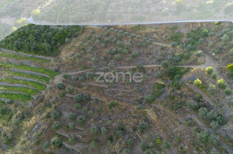 Terreno para Venda em Provesende, Gouvães Douro, São Cristóvão Douro Foto 9
