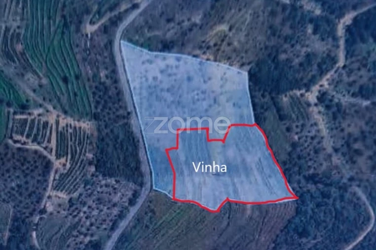 Terreno para Venda em Provesende, Gouvães Douro, São Cristóvão Douro Foto 11