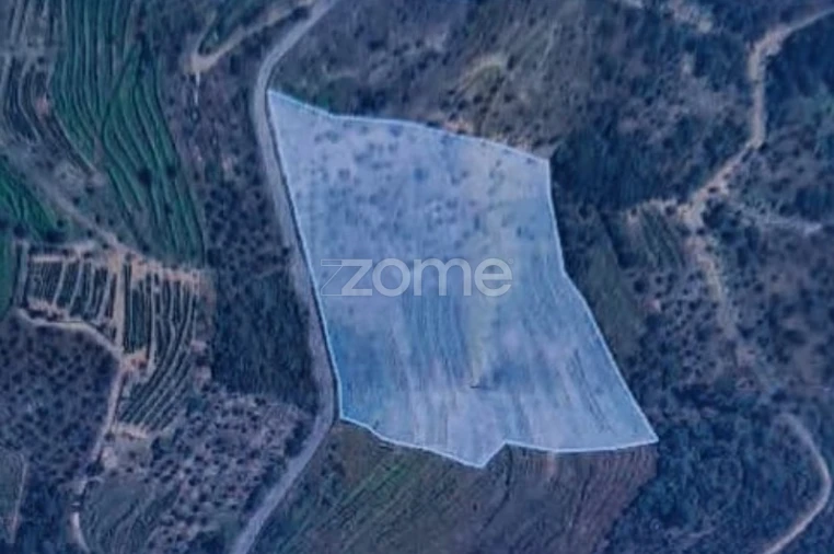 Terreno para Venda em Provesende, Gouvães Douro, São Cristóvão Douro Foto 12