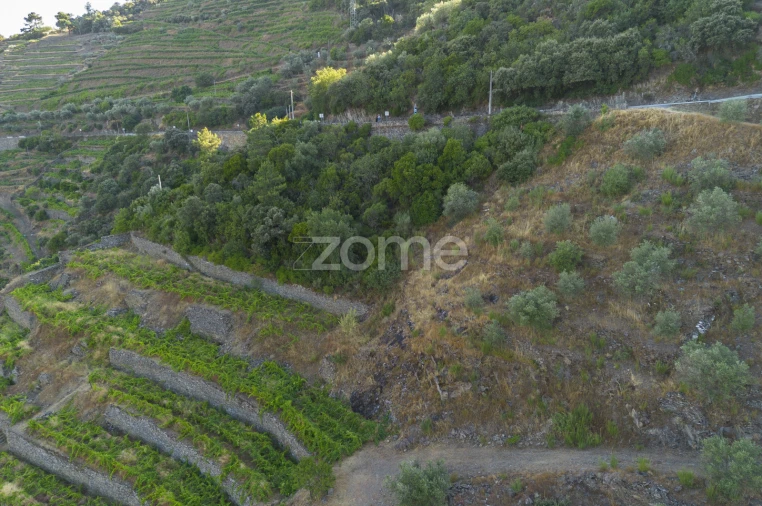 Terreno para Venda em Provesende, Gouvães Douro, São Cristóvão Douro Foto 6