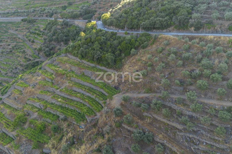 Terreno para Venda em Provesende, Gouvães Douro, São Cristóvão Douro Foto 3