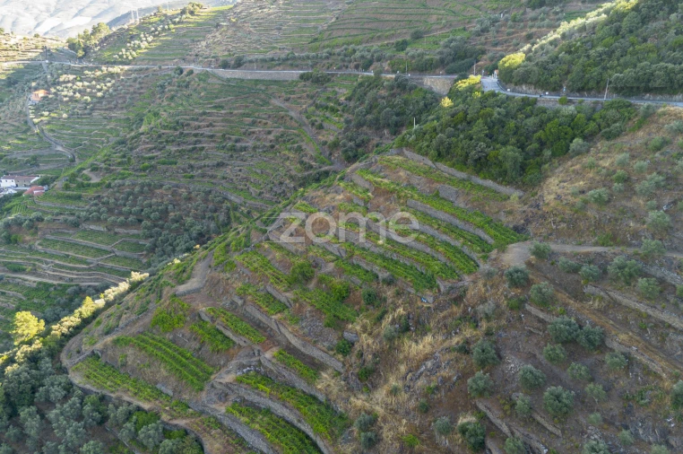 Terreno para Venda em Provesende, Gouvães Douro, São Cristóvão Douro
